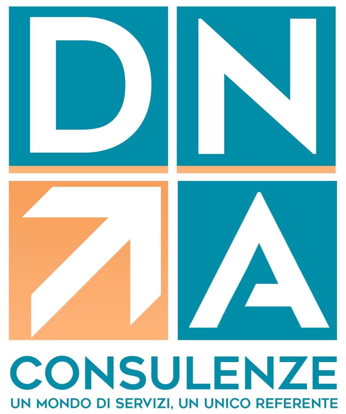 Dna Consulenze Logo